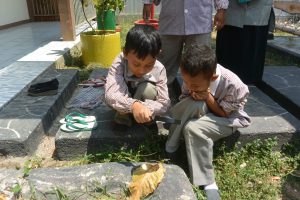 To Educate The Human Potential ; M Montessori